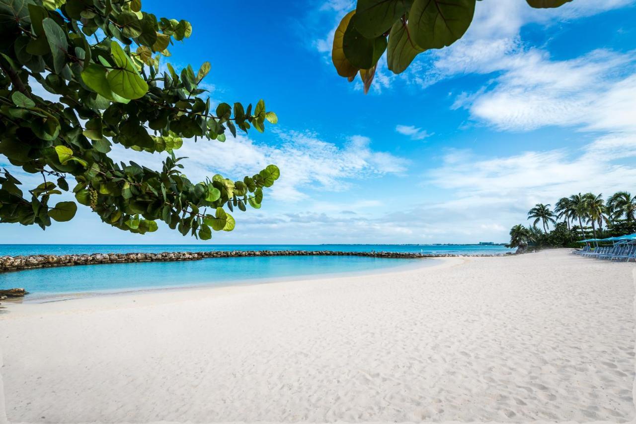 Margaritaville Beach Resort Grand Cayman George Town Exterior photo